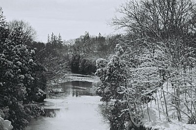 Snowy River