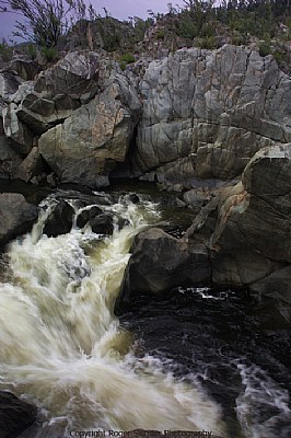 Rush, Snowy River nth of Suggan Buggan