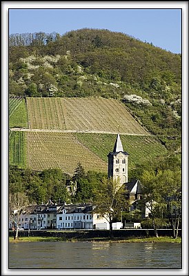 Rhine River Town