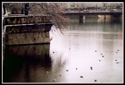 Winter reflections