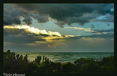 Seascape from kuwait coasts