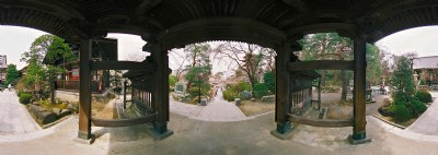 From the Temple Portal