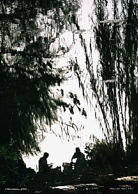 Water Reflection 5