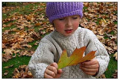 his leaf