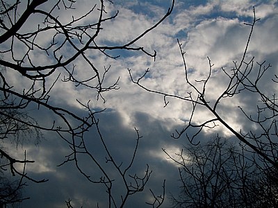 Sky Prison