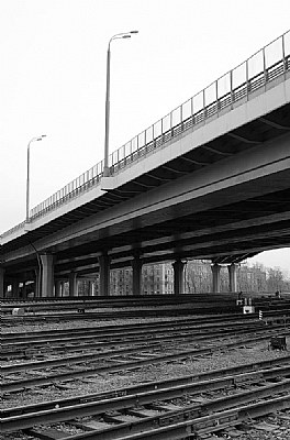 lines