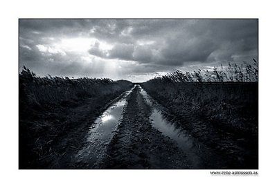 Muddy Danish Landscape