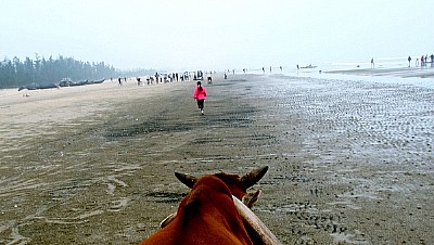 morning at Tinh Gia beach