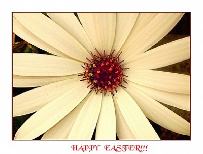 EASTER WISHES...