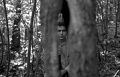 portrait in the hollow of the tree,