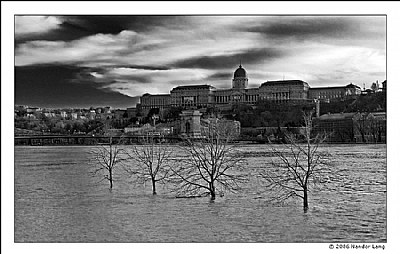 Flood, Budapest