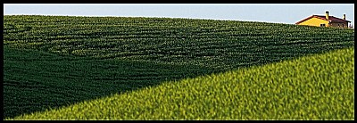 verde Toscano #15