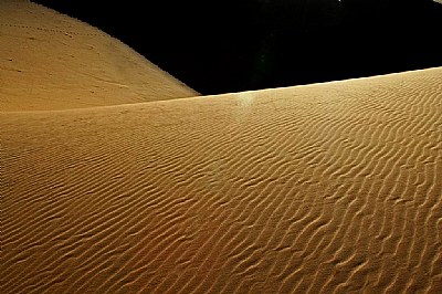 Sahara Desert