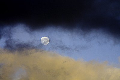 Moon Shines at Night