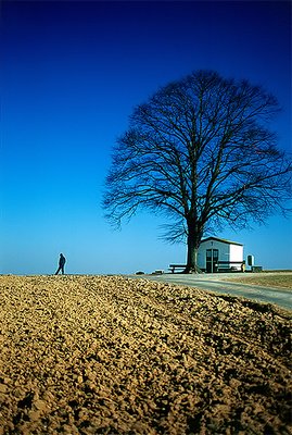 Tree - Man - Chapel