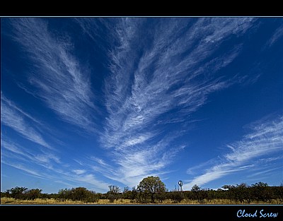 Cloud Screw