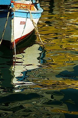 Water Reflection 8