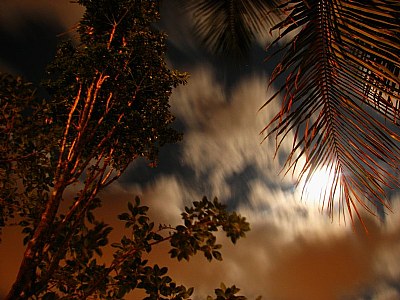 walking clouds