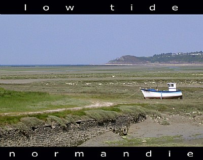 Low tide