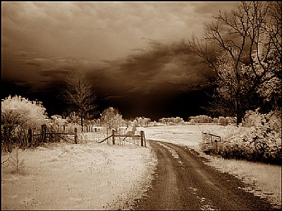 Farmland Spring