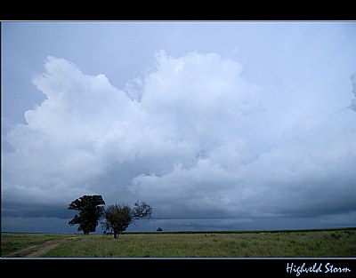 Highveld Storm