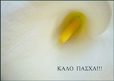 HAPPY EASTER-&#922;&#913;&#923;&#927;  &#928;&#913;&#931;&#935;&#913;!!!!