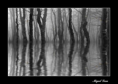 Shadows lake