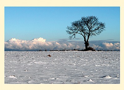clouds