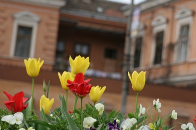 Spring in Sibiu