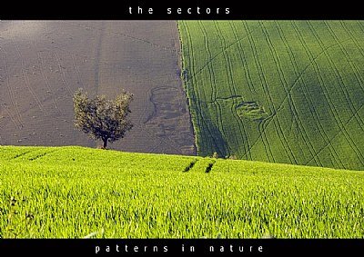 The sectors