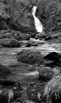 Dolgoch Falls in B&W