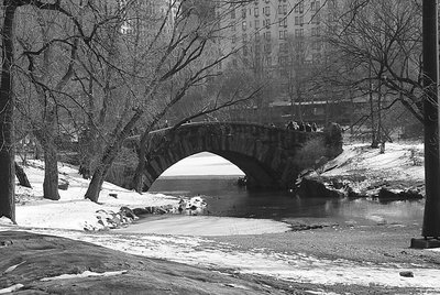 Central Park in the Winter