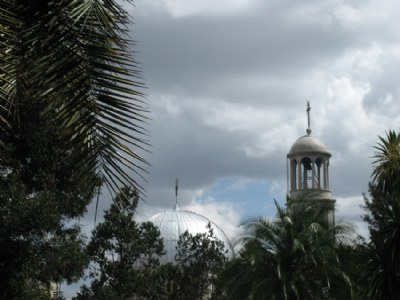 Roof Tops