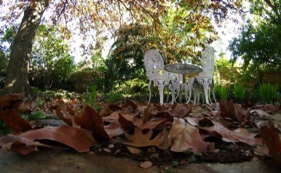 Autumn in Banyule #8