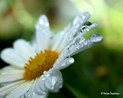 Droplets...