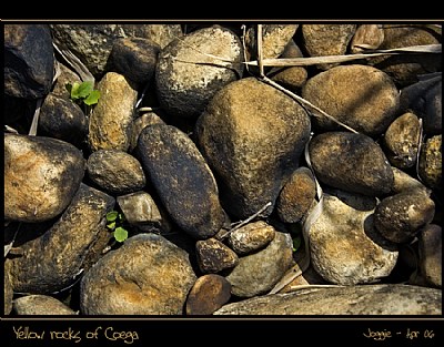 Yellow rocks of Coega