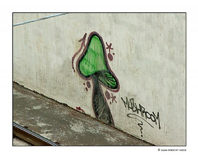 Graffiti V. (Mushroom)