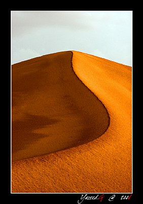 Dune 