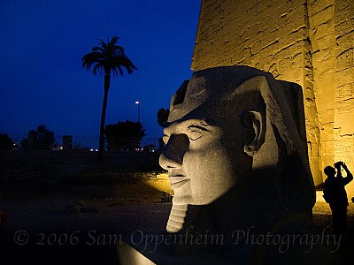 Luxor Temple Sphinx Head at Night