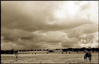 Thunder Clouds