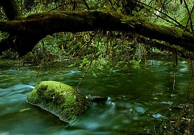 Mother Nature