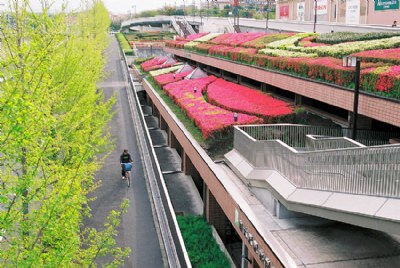 Bicycle Park & Cyclist