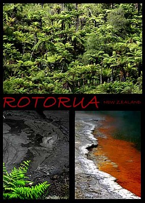 Rotorua 02