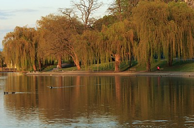 Sunset at Lost Lagoon