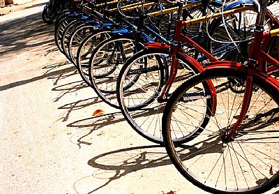 the bicycles & shadow