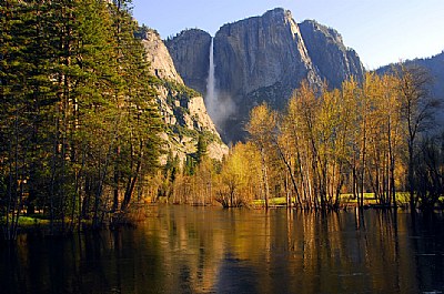 Gold in Yosemite