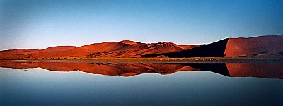 Desert Reflections