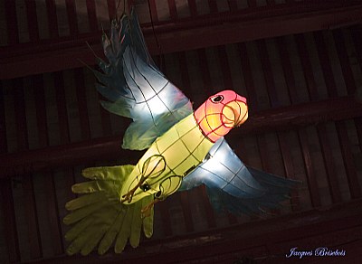 another chinese lantern