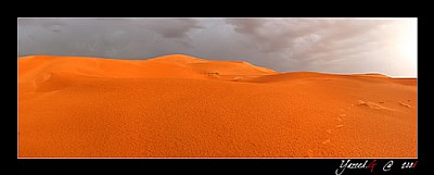 Dune # 2