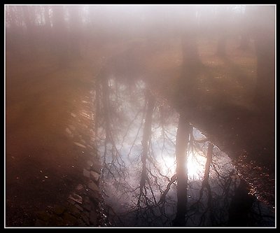 [ mists of avalon... 4 ]